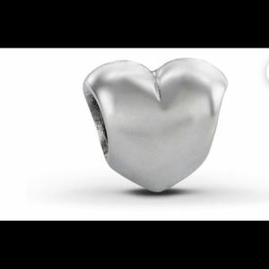 Authentic Pandora charm